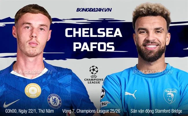 Giấy phép hoạt động hợp pháp của FCB8